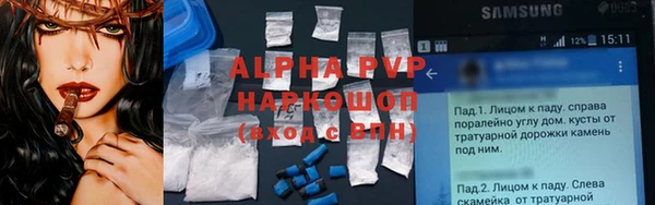 PSILOCYBIN Вяземский