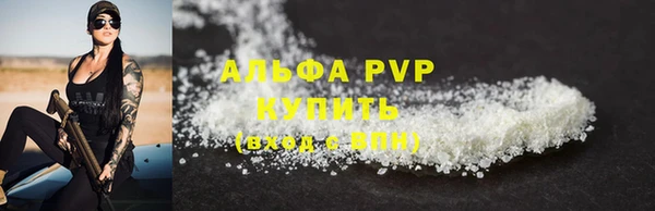 PSILOCYBIN Вяземский