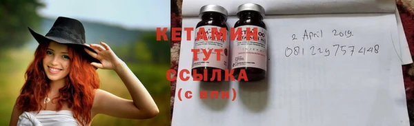 PSILOCYBIN Вяземский