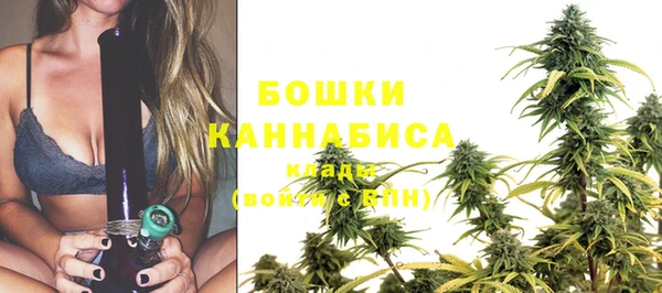 дмт Вязьма