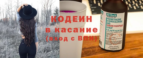 PSILOCYBIN Вяземский