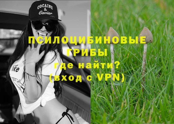 бошки Вязники