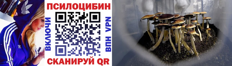 Купить  Мышкин  Галлюциногенные грибы ЛСД 